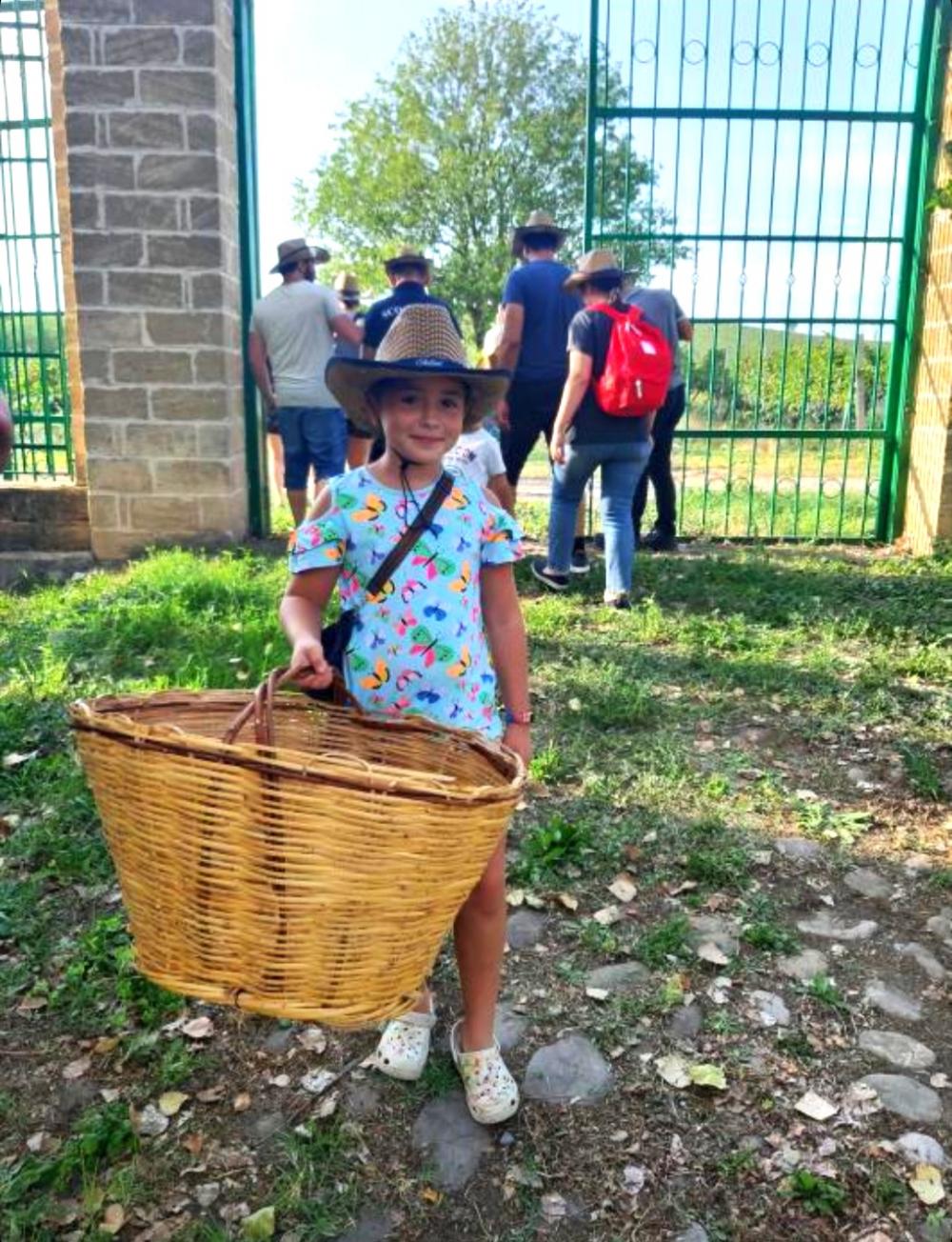 Photo of the Chabiant Wine Harvest contest