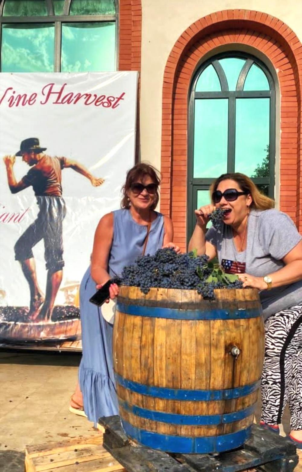 Photo of the Chabiant Wine Harvest contest