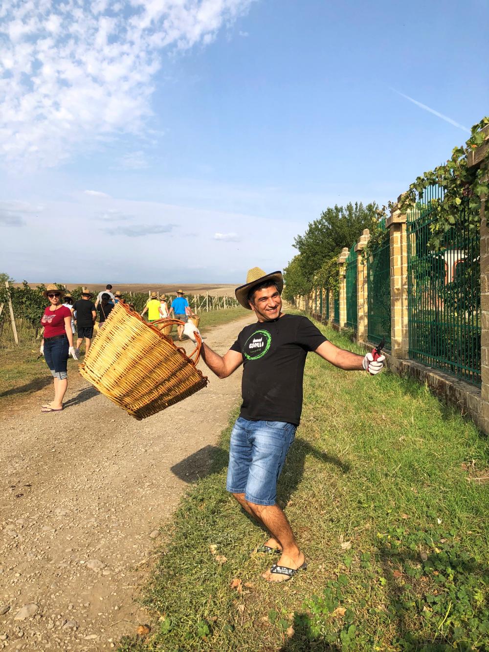 Photo of the Chabiant Wine Harvest contest