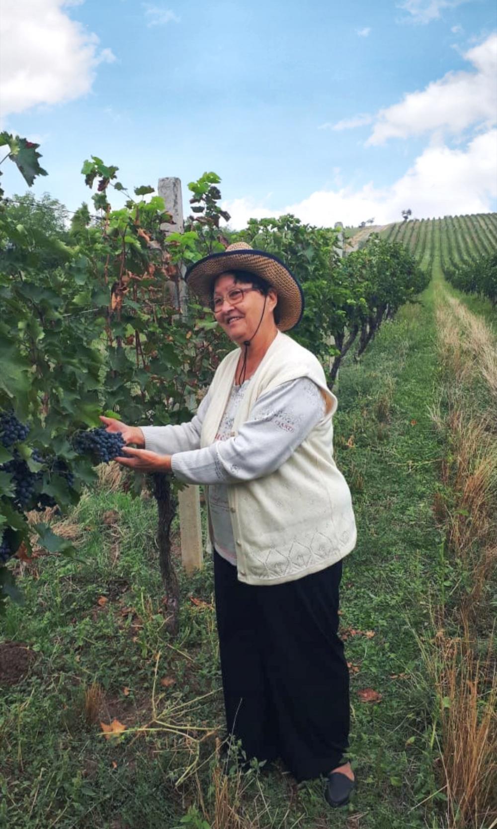 Photo of the Chabiant Wine Harvest contest