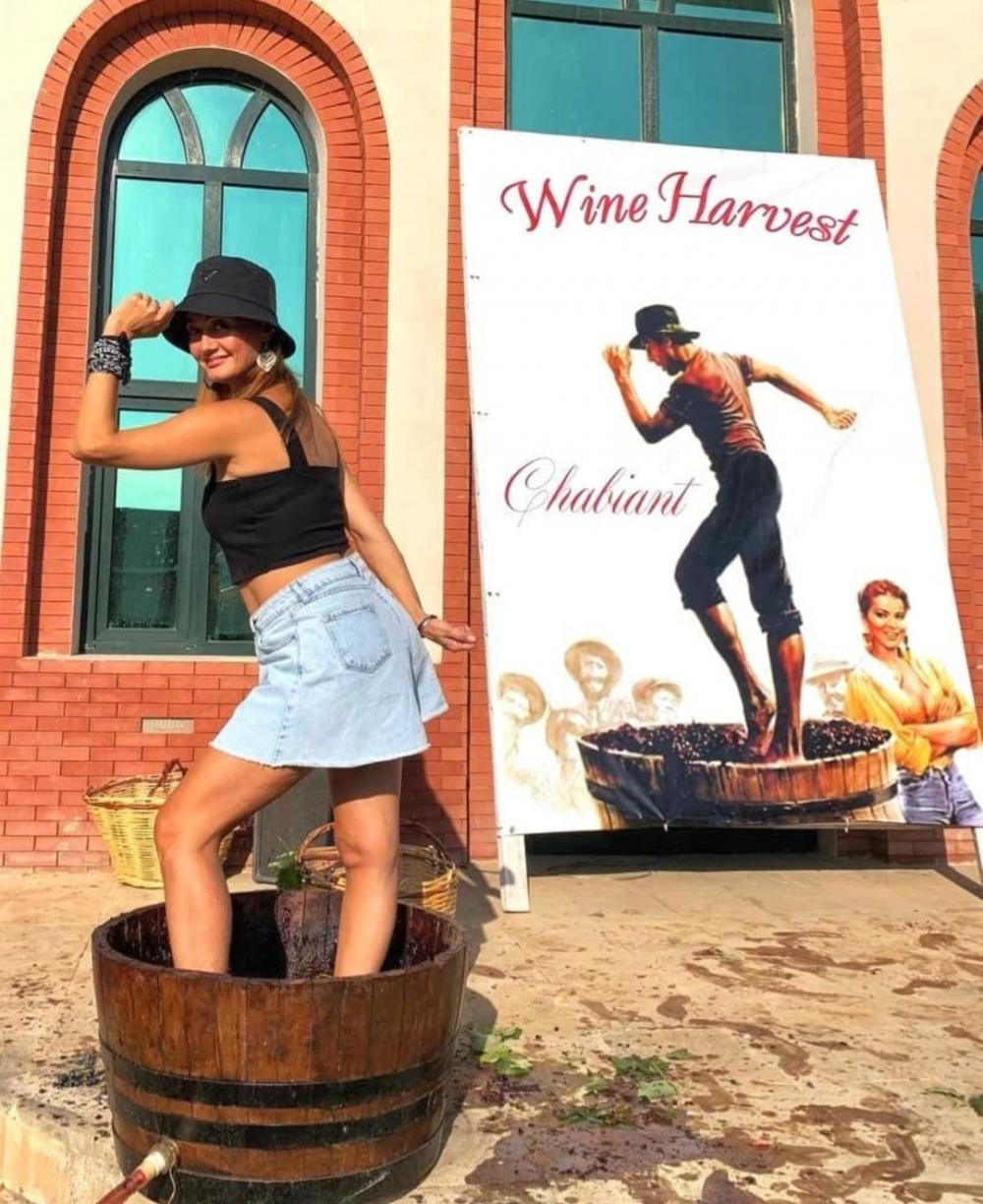 Photo of the Chabiant Wine Harvest contest