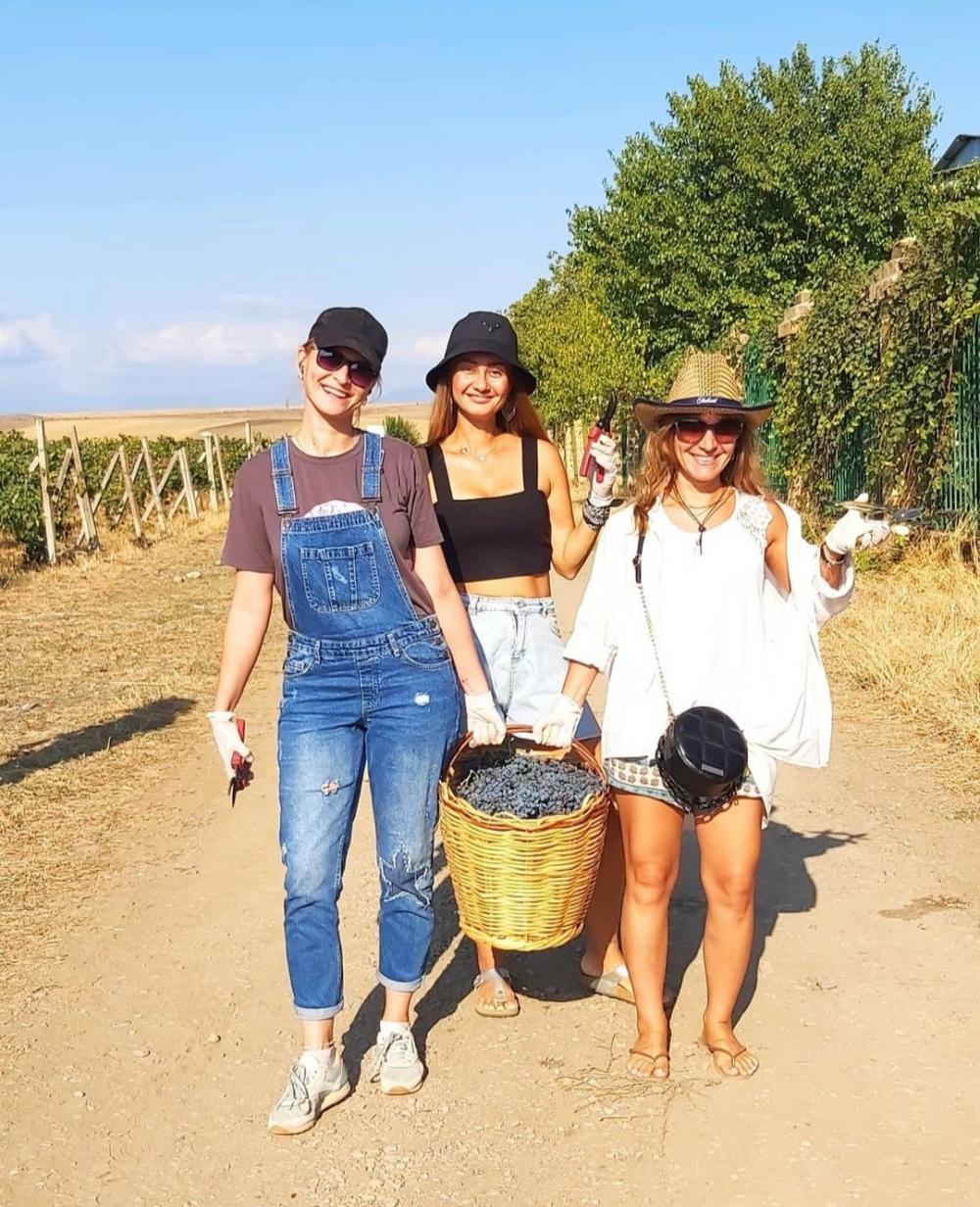 Photo of the Chabiant Wine Harvest contest