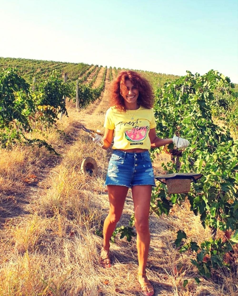 Photo of the Chabiant Wine Harvest contest