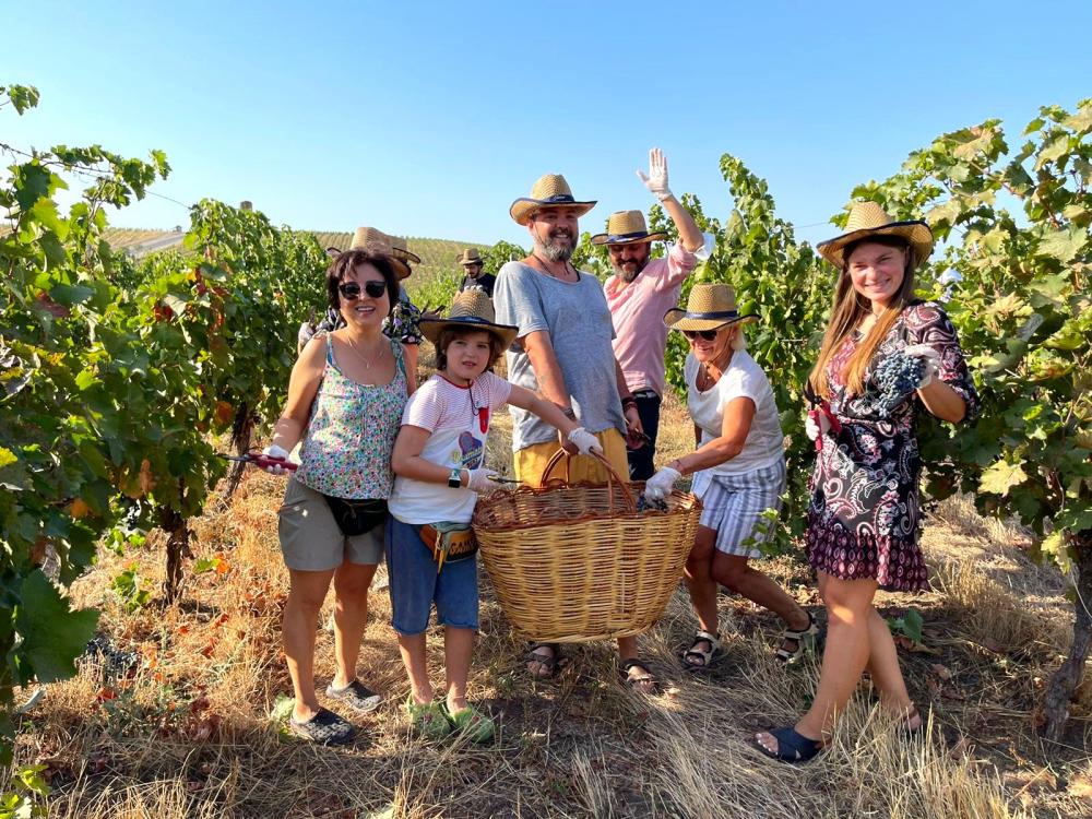 Фотография конкурса Chabiant Wine Harvest