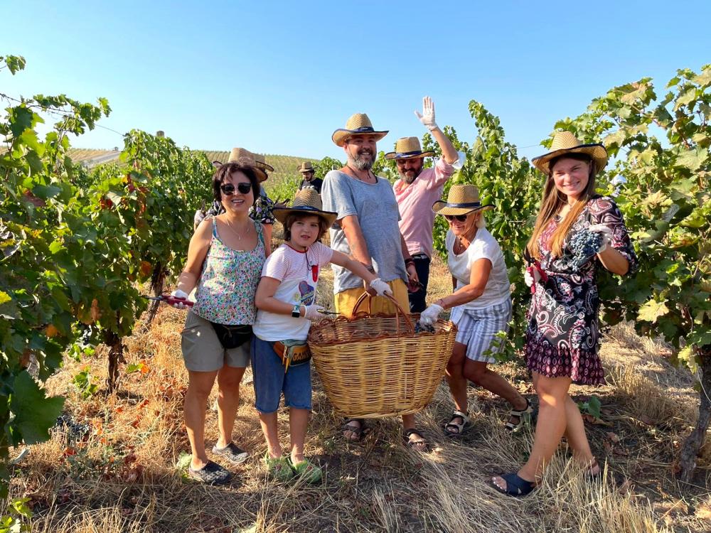 Photo of the Chabiant Wine Harvest contest