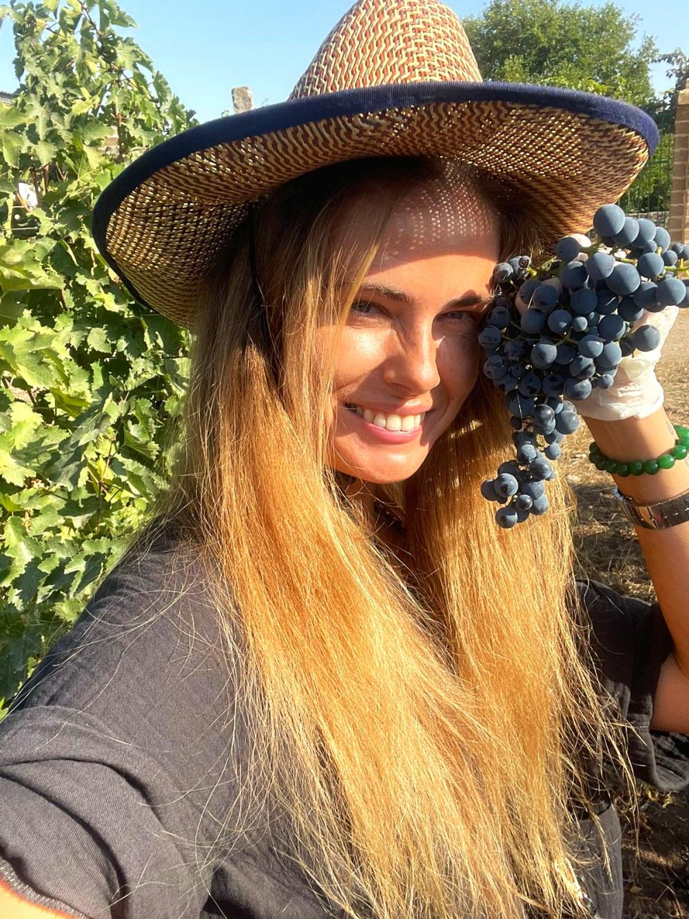 Photo of the Chabiant Wine Harvest contest