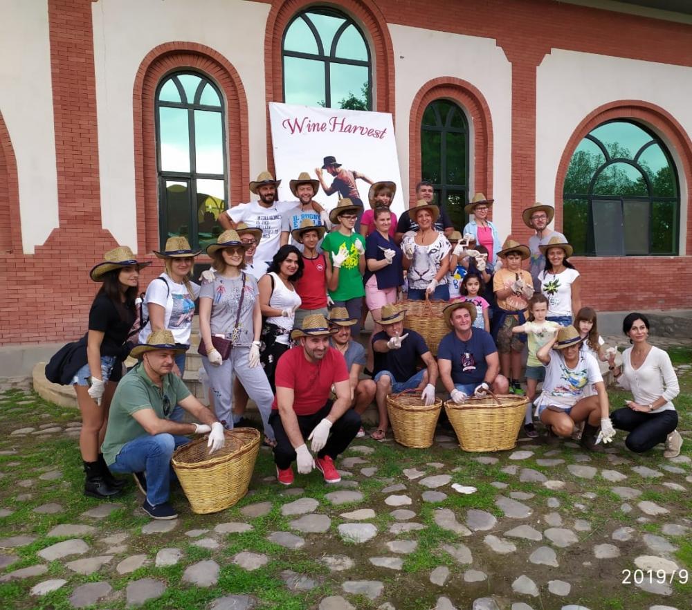 Chaboant Wine Harvest